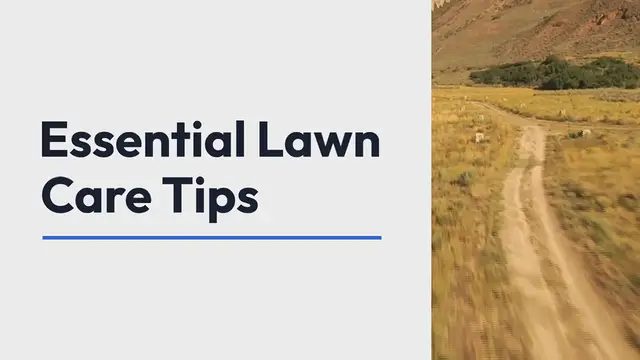 Video thumbnail for Lawn care tips