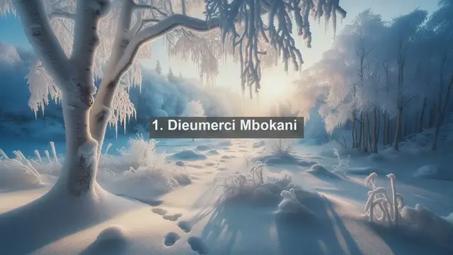 Video thumbnail for Top 10 Famous Football Players from the Democratic Republic of the Congo