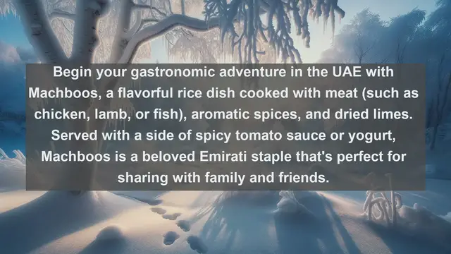 Video thumbnail for Exploring Emirati Cuisine: Top 10 Mouthwatering Foods in the United Arab Emirates!