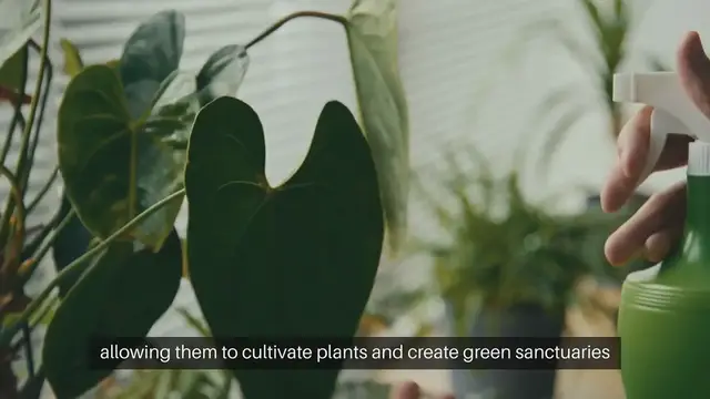 Video thumbnail for Container Gardening Solutions for Limited Space