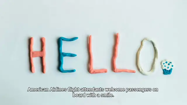 Video thumbnail for american airlines flight attendants