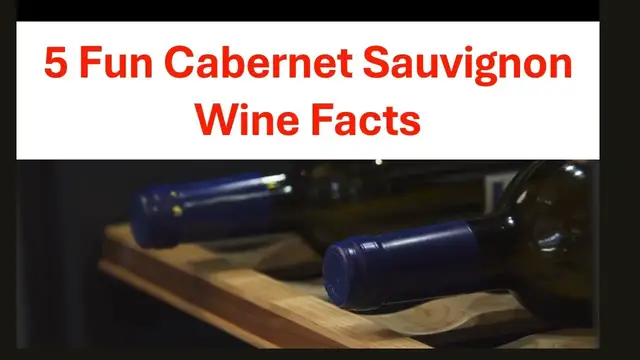 'Video thumbnail for 5 Fun Cabernet Sauvignon Wine Facts'
