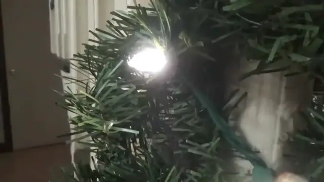 Video thumbnail for ⭐4 Ingredient French Onion Pork Chops   Homemade Chocolate Covered Cherries better than Queen Anne 🤶(720P HD)