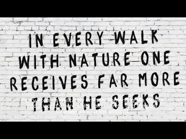 Video thumbnail for Is 'the Woman In The Wall' Your Next Murder Mystery Obsession? - The Daily Beast | The Wom