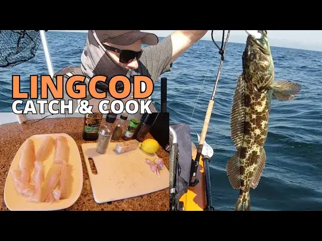 Video thumbnail for LINGCOD & Feeder Chinooks - Catch Clean Cook