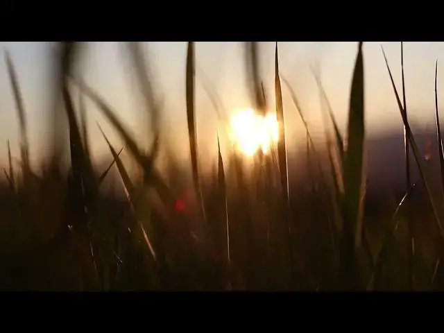 Video thumbnail for Serene Escapes 8 Ethereal Sounds Amidst Beautiful Scenery for Stress Release 🌿🎶 #Meditation #Sleep