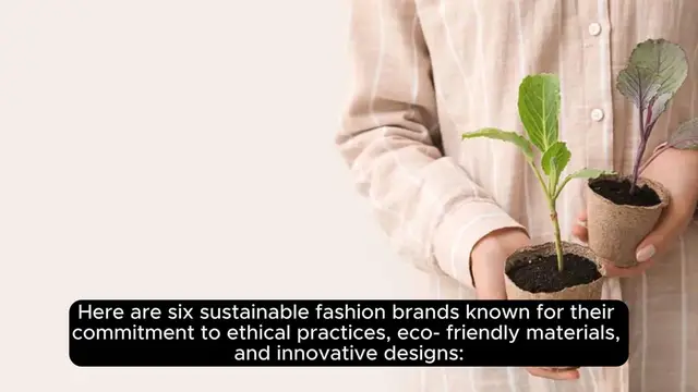 Video thumbnail for Best Sustainable Fashion Brands