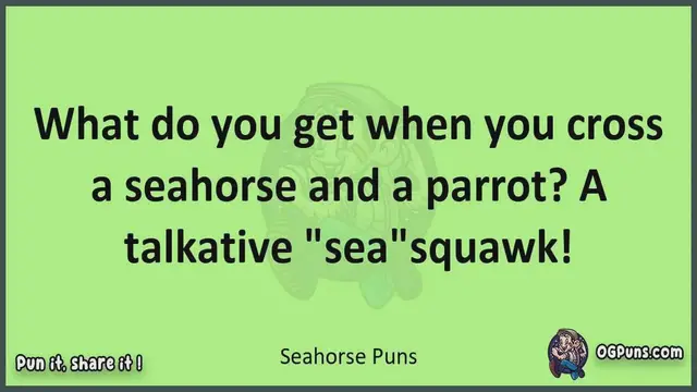 Video thumbnail for Seahorse - Jokes, Puns, Wordplays, and Laughter