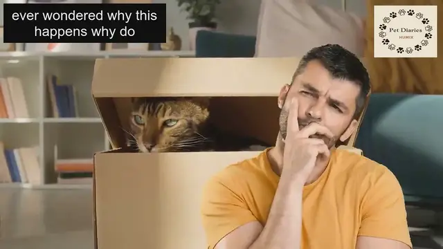 'Video thumbnail for Why Cats Love Boxes'
