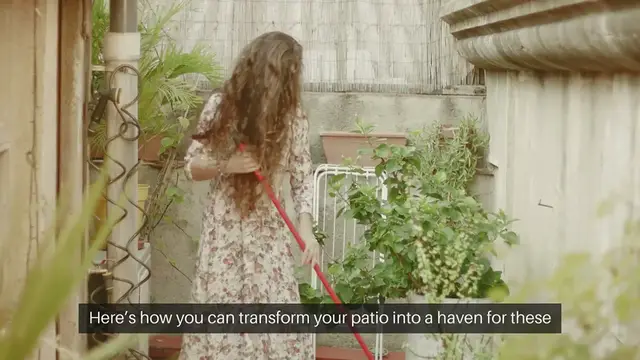 Video thumbnail for How to Create a Butterfly Garden on Your Patio