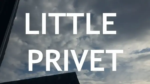 Video thumbnail for Little Privet Bonsai, from cutting, 1