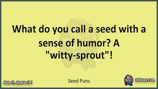 Video thumbnail for Seed - Jokes, Puns, Wordplays, and Laughter