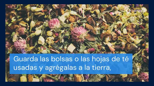 Video thumbnail for 4 trucos  para que tus plantas florezcan todo el año