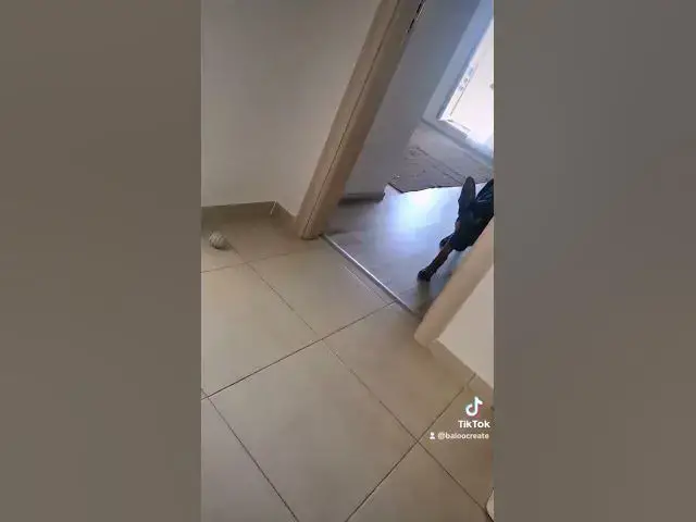 Video thumbnail for ❤️https://shareasale.com/r.cfm?b=878501&u=3365007&m=66364&urllink=&afftrack=