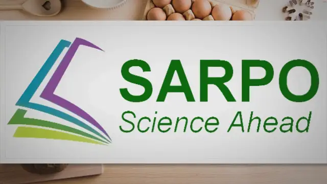 Video thumbnail for Watch How to Easily Bend Balsa Wood and Create Stunning DIY Projects!