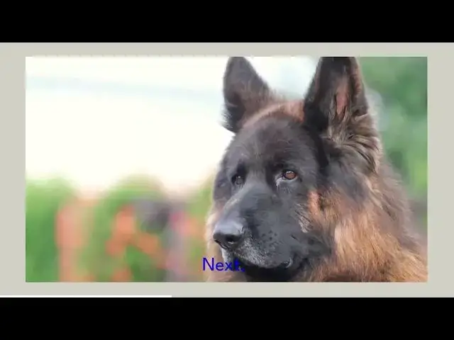 Video thumbnail for grooming your german shepherd