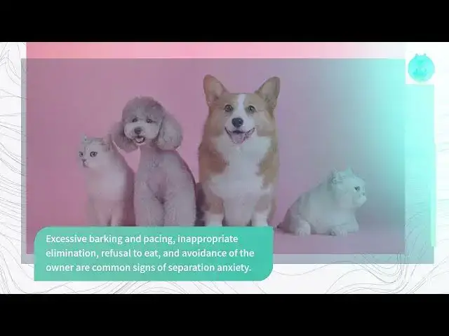 'Video thumbnail for Is Your Pet Stressed Out? 5 Ways to Tell if Your Animal Has Anxiety'