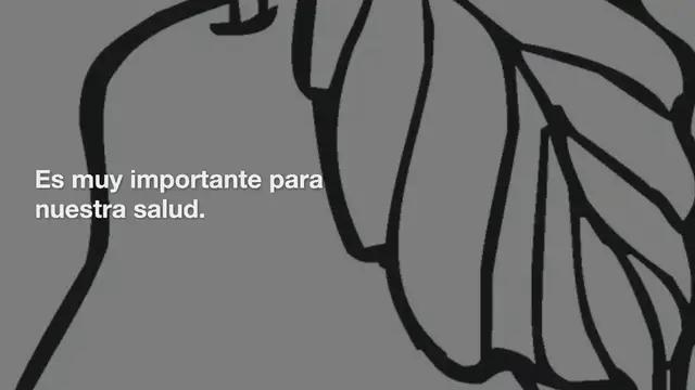 Video thumbnail for Pera para colorear