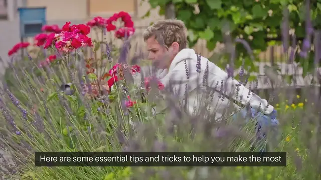 Video thumbnail for Patio Gardening Tips And Tricks