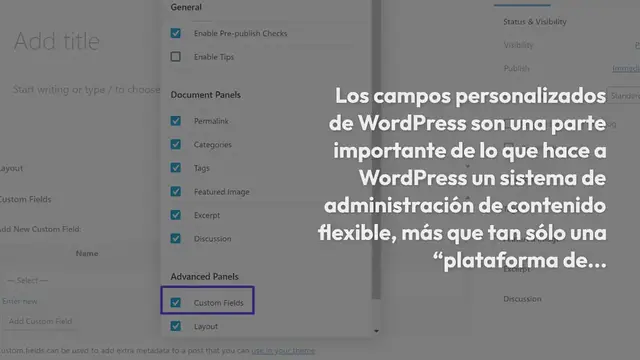 Video thumbnail for Tutorial de Advanced Custom Fields: La Mejor Guía