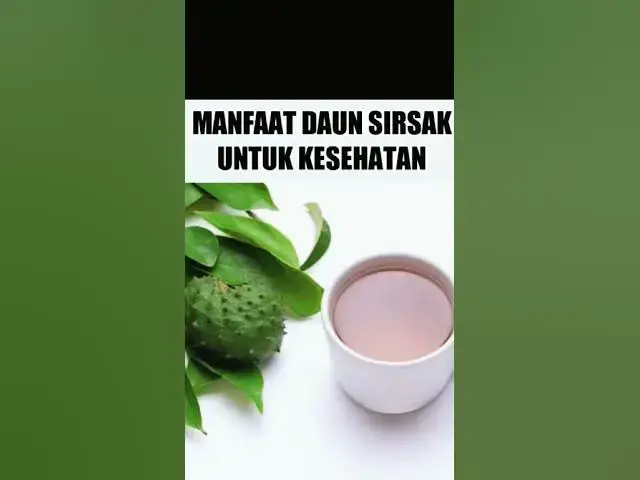 'Video thumbnail for Manfaat Daun Sirsak ntuk Kesehatan#shorts #manfaatdaunsirsak'
