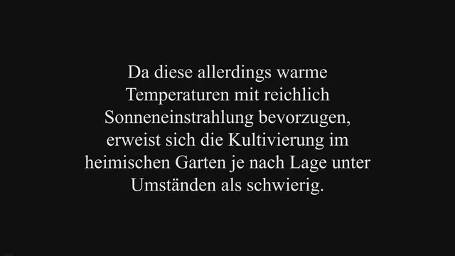 Video thumbnail for Erdnüsse im Gewächshaus pflanzen, pflegen und ernten