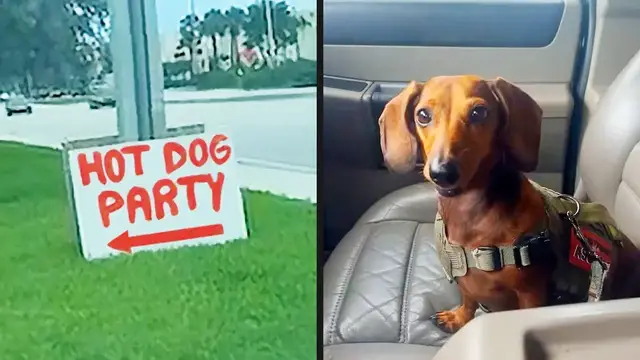 Video thumbnail for They Didn't Get the Invite