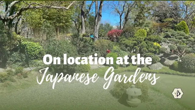 Video thumbnail for Bamboo on location in the Japanese Gardens