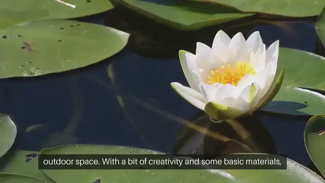 Video thumbnail for Easy DIY Patio Garden Projects