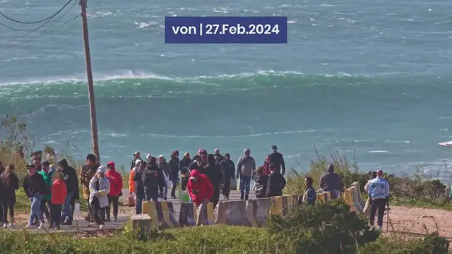 Video thumbnail for Untitled_video (29)