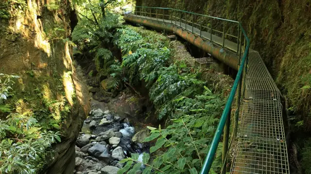 Video thumbnail for Wanderung zum Salto do Cabrito auf São Miguel | Azoren
