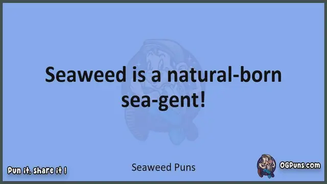 Video thumbnail for Seaweed - Jokes, Puns, Wordplays, and Laughter