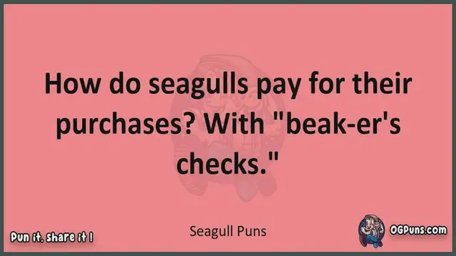 Video thumbnail for Seagull - Jokes, Puns, Wordplays, and Laughter