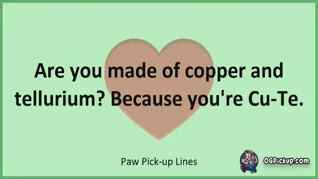 Video thumbnail for Paw - Pickup-Lines & Rizz for Him & for Her