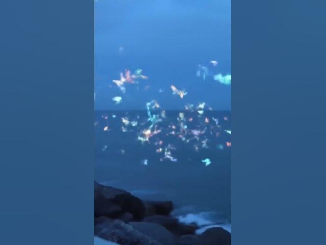 Video thumbnail for New features unlocked ❤️😌🥰 #everyone #jummamubarak