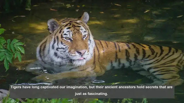 Video thumbnail for 10 Key Tiger Fossils: Tracing Big Cat Evolution