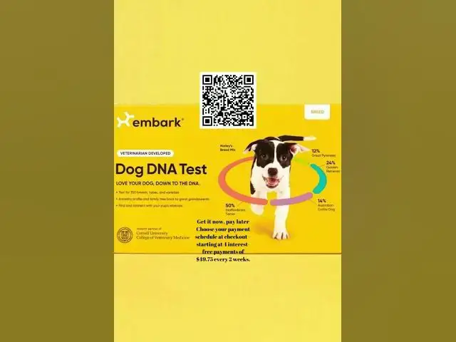 Video thumbnail for Embark #dog #DNA #test 🥰https://shareasale.com/r.cfm?b=878501&u=3365007&m=66364&urllink=&afftrack=