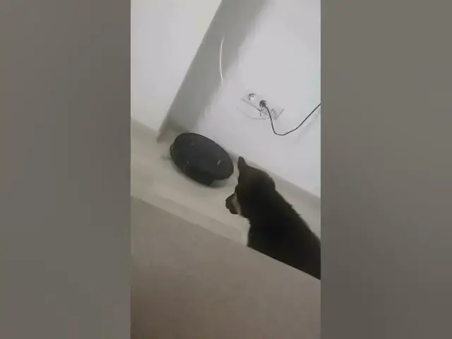 Video thumbnail for robot vs #dog #gsdpuppy #gsd #happy #happydog