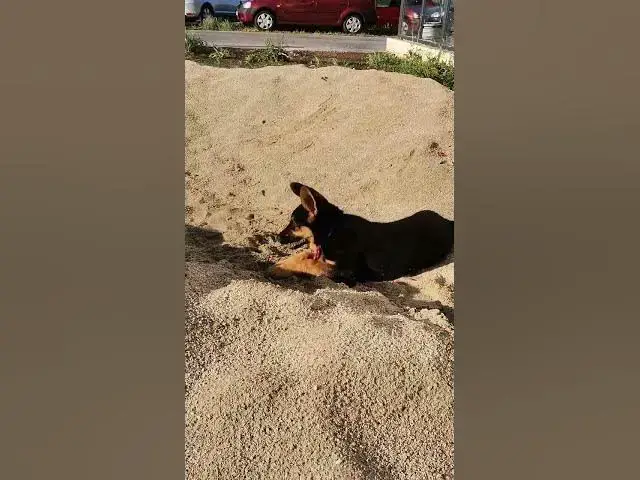 Video thumbnail for Baloocreate works hard