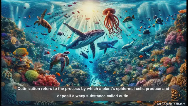 Video thumbnail for Cutinization in biology