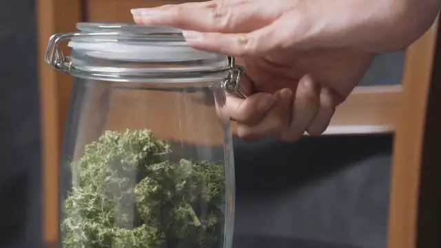 Video thumbnail for Medicinal Plants In Botanical Gardens