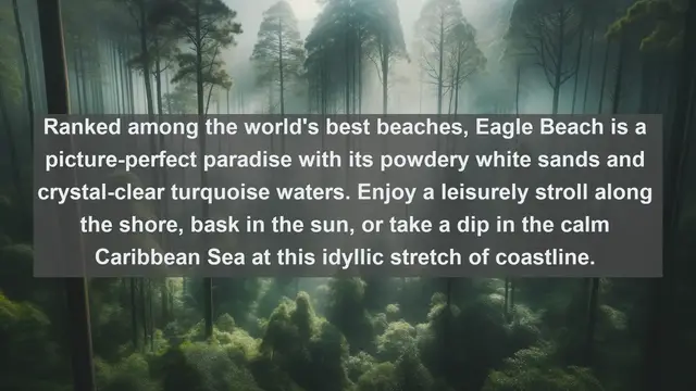 Video thumbnail for Explore Aruba's Hidden Gems: Top 10 Must-Visit Famous Places