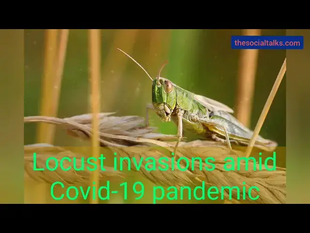 Video thumbnail for Top World News | May 26