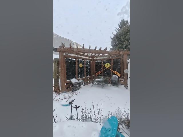 Video thumbnail for Snow Jan 25 2025 timelapse pergola view