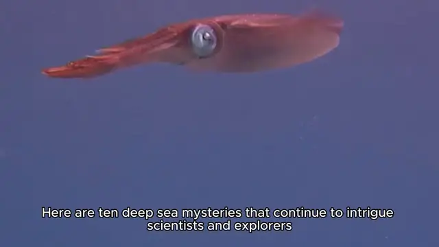 Video thumbnail for Top 10 Deep Sea Mysteries