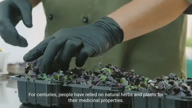 Video thumbnail for Ancient Herbal Remedies_ Recreating Historical Hea 2