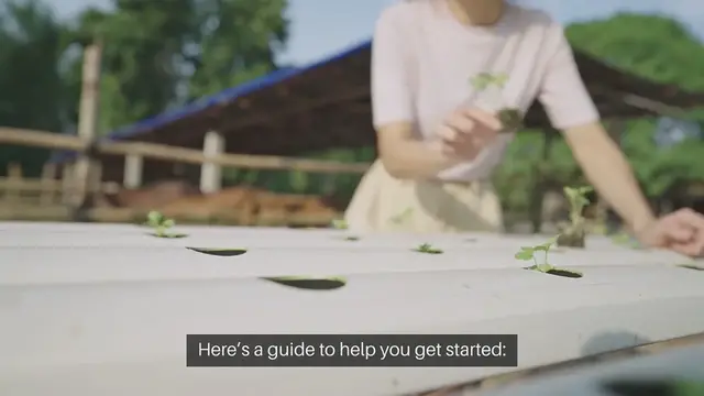 Video thumbnail for How To Start A Hydroponic Garden