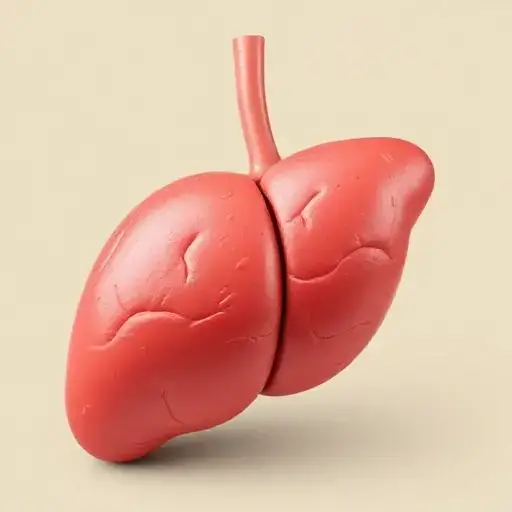 Video thumbnail for How to Reduce Fatty Liver Naturally – Easy Tips for a Healthy Liver