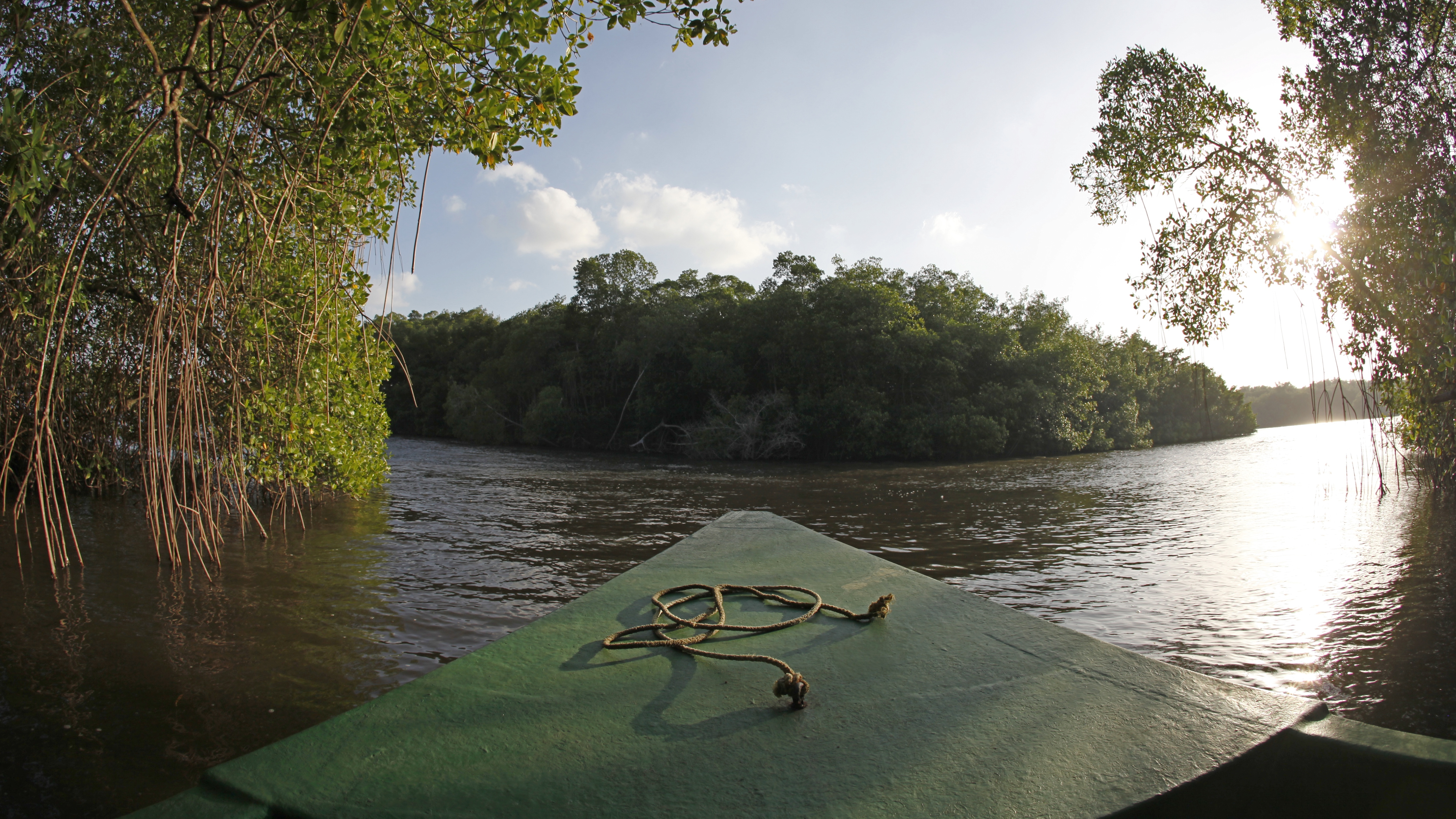 Video thumbnail for Caroni Sumpf Trinidad | Ausflug zu den Scharlachroten Ibissen