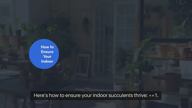 Video thumbnail for How to Grow Succulents Indoors